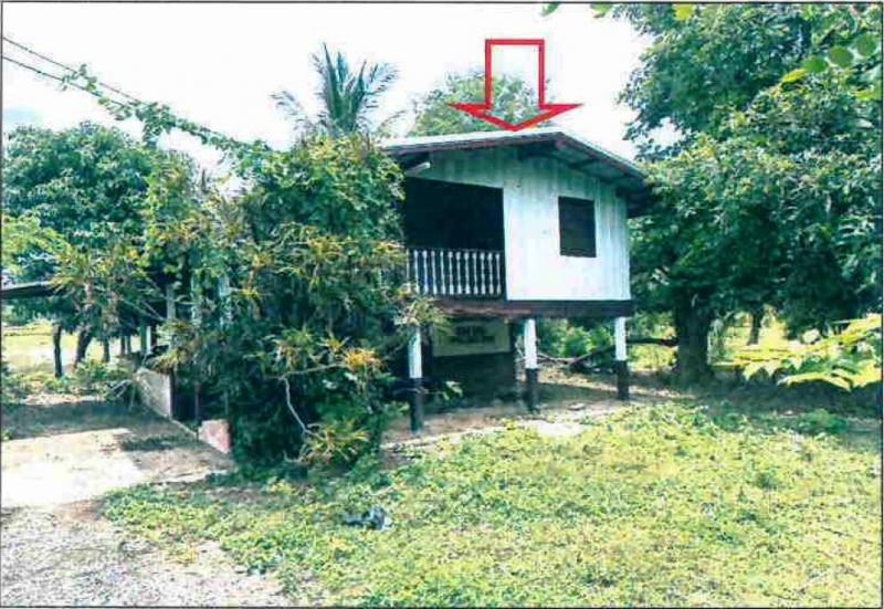 หมากหญ้า หนองวัวซอ อุดรธานี