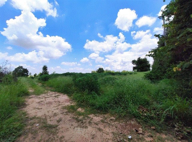 ที่ดินหลุดจำนอง ธ.ธนาคารกรุงเทพ โคกกลาง โนนสะอาด อุดรธานี