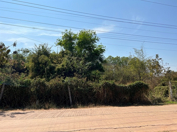 ที่ดินหลุดจำนอง ธ.ธนาคารกรุงเทพ กุมภวาปี กุมภวาปี อุดรธานี